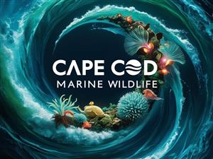 Marine Wildlife