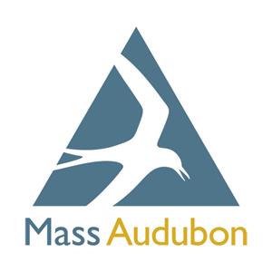 Mass Aud