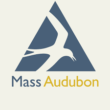 Mass Aud